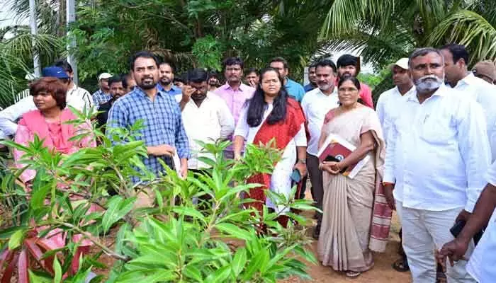రైతులు సుస్థిర వ్యవసాయం దిశగా అడుగులు వేయాలి రైతులు సుస్థిర వ్యవసాయం దిశగా అడుగులు వేయాలి