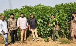 ఎల్నినో ప్రభావంపై అలర్ట్.. 8 జిల్లాల వాలంటీర్లకు జూబ్లీహిల్స్లో ట్రైనింగ్ ఎల్నినో ప్రభావంపై అలర్ట్.. 8 జిల్లాల వాలంటీర్లకు జూబ్లీహిల్స్లో ట్రైనింగ్