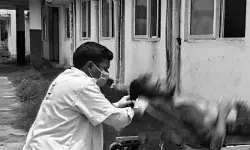 జలపాతంలో పడి యువకుడి మృతి జలపాతంలో పడి యువకుడి మృతి