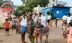 VIRAL: రాష్ట్రంలో వింత ఆచారం.. వర్షాలు కురవాలని గాడిదల పెళ్లి (వీడియో) VIRAL: రాష్ట్రంలో వింత ఆచారం.. వర్షాలు కురవాలని గాడిదల పెళ్లి (వీడియో)