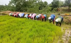 కౌలు రైతుకు గుర్తింపు ఏది..! కౌలు రైతుకు గుర్తింపు ఏది..!