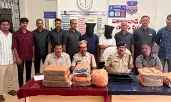 జిల్లాలో రోజుకో చోట గంజాయి కలకలం.. జిల్లాలో రోజుకో చోట గంజాయి కలకలం..