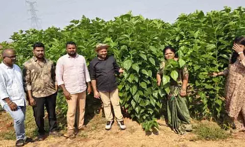 ఎల్‌నినో ప్రభావంపై అలర్ట్.. 8 జిల్లాల వాలంటీర్లకు జూబ్లీహిల్స్‌లో ట్రైనింగ్