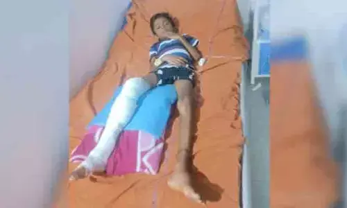 చిన్న బాబుకు పెద్ద కష్టం...