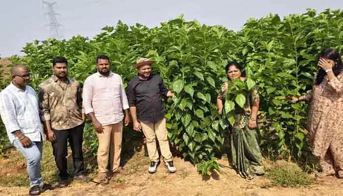 ఎల్నినో ప్రభావంపై అలర్ట్.. 8 జిల్లాల వాలంటీర్లకు జూబ్లీహిల్స్లో ట్రైనింగ్ ఎల్నినో ప్రభావంపై అలర్ట్.. 8 జిల్లాల వాలంటీర్లకు జూబ్లీహిల్స్లో ట్రైనింగ్