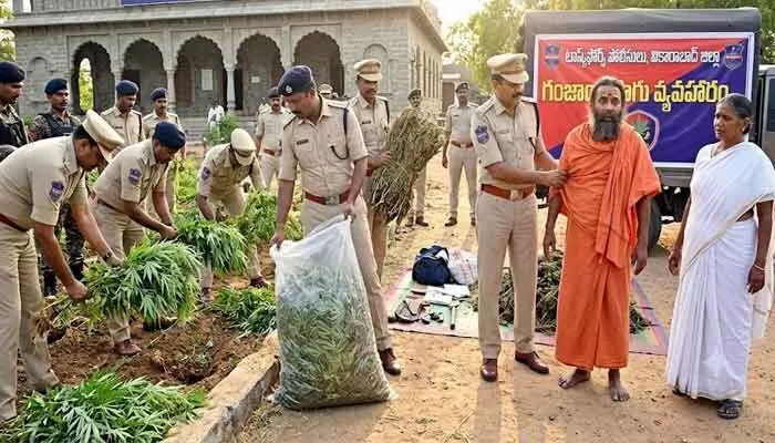 వికారాబాద్ జిల్లాలో సంచలనం.. స్వామీజీ ఆశ్రమంలో గంజాయి చెట్లు వికారాబాద్ జిల్లాలో సంచలనం.. స్వామీజీ ఆశ్రమంలో గంజాయి చెట్లు