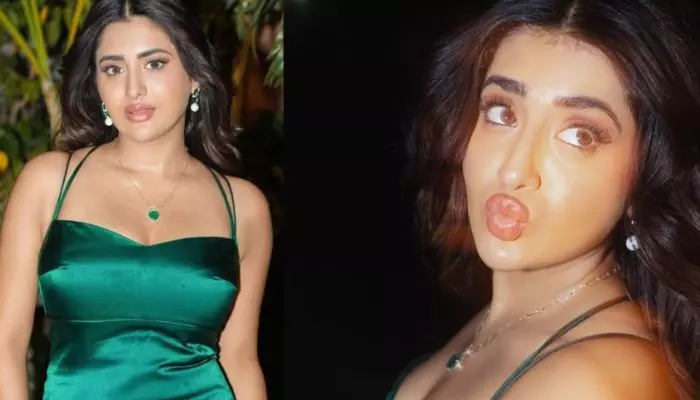 అందం, హాట్నెస్కు కొదవలేదు.. ఆ ఒక్కటి లేక వెనుకబడిన రాశి సింగ్ అందం, హాట్నెస్కు కొదవలేదు.. ఆ ఒక్కటి లేక వెనుకబడిన రాశి సింగ్
