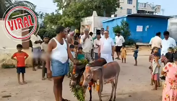 VIRAL: రాష్ట్రంలో వింత ఆచారం.. వర్షాలు కురవాలని గాడిదల పెళ్లి (వీడియో) VIRAL: రాష్ట్రంలో వింత ఆచారం.. వర్షాలు కురవాలని గాడిదల పెళ్లి (వీడియో)