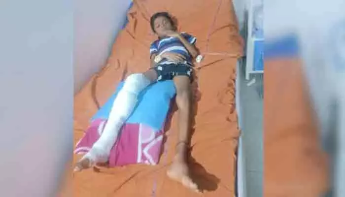 చిన్న బాబుకు పెద్ద కష్టం... చిన్న బాబుకు పెద్ద కష్టం...