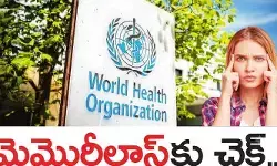 మెమోరీలాస్కు చెక్ పెట్టేందుకు కాగ్నిటివ్ ట్రైనింగ్ మెమోరీలాస్కు చెక్ పెట్టేందుకు కాగ్నిటివ్ ట్రైనింగ్
