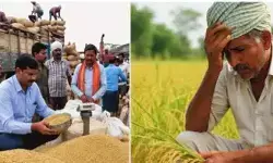 సీడ్ మాఫియా దోపిడీ.. తేమ పేరుతో బ్లాక్ మెయిల్ సీడ్ మాఫియా దోపిడీ.. తేమ పేరుతో బ్లాక్ మెయిల్