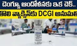 ‘డెంగ్యూ’ మహమ్మారికి ఎట్టకేలకు చెక్.. తొలి వ్యాక్సిన్కు DCGI అనుమతి ‘డెంగ్యూ’ మహమ్మారికి ఎట్టకేలకు చెక్.. తొలి వ్యాక్సిన్కు DCGI అనుమతి