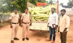 తాడూర్లో నకిలీ డీఏపీ కలకలం.. 80 బ్యాగులు సీజ్ తాడూర్లో నకిలీ డీఏపీ కలకలం.. 80 బ్యాగులు సీజ్