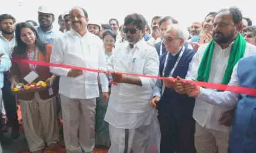 ఆయిల్ పామ్ సాగుతోనే రైతులకు స్థిరమైన ఆదాయం