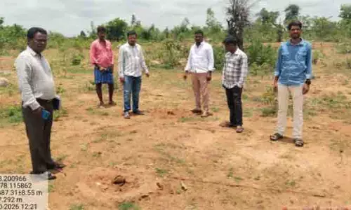 ధ్వంసమైన మొక్కలను పరిశీలించిన ఏపీఓ