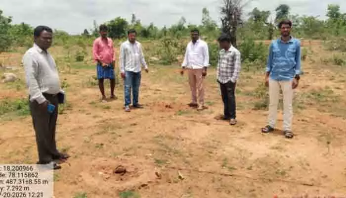 ధ్వంసమైన మొక్కలను పరిశీలించిన ఏపీఓ ధ్వంసమైన మొక్కలను పరిశీలించిన ఏపీఓ