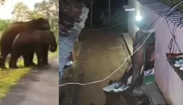 ఇంట్లోకి చొరబడిన ఏనుగు..షాకింగ్ వీడియో ఇదిగో ఇంట్లోకి చొరబడిన ఏనుగు..షాకింగ్ వీడియో ఇదిగో