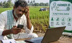 నో ఐడీ.. నో ఐడెంటిటీ నో ఐడీ.. నో ఐడెంటిటీ