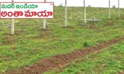 మదర్ ఇండియా’ ఫామ్ ల్యాండ్ దందా మదర్ ఇండియా’ ఫామ్ ల్యాండ్ దందా