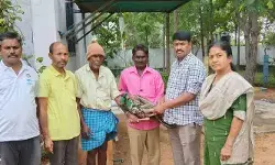 మంచాలలో రక్షించిన నెమలికి వెటర్నరీ ఆస్పత్రిలో చికిత్స మంచాలలో రక్షించిన నెమలికి వెటర్నరీ ఆస్పత్రిలో చికిత్స