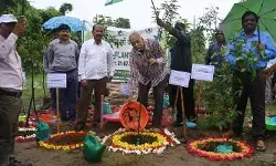 నాటడం కన్నా పరిరక్షణకే ప్రాధాన్యత నాటడం కన్నా పరిరక్షణకే ప్రాధాన్యత