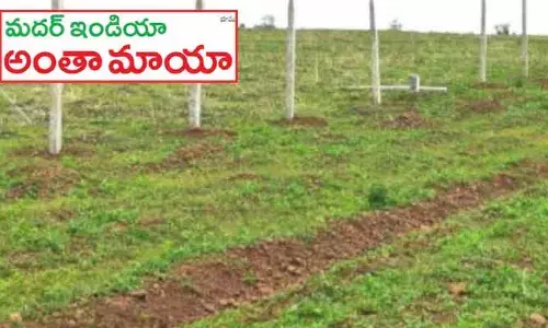 మదర్ ఇండియా’ ఫామ్ ల్యాండ్ దందా