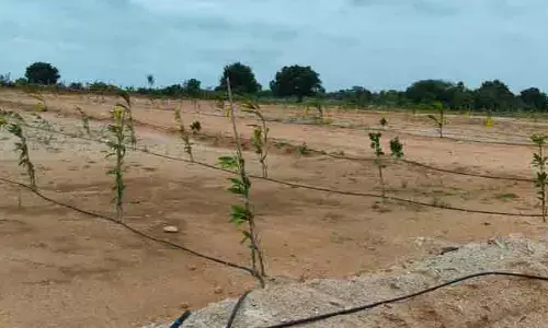 చింతపల్లిలో అక్రమ రియల్ వ్యాపారం?