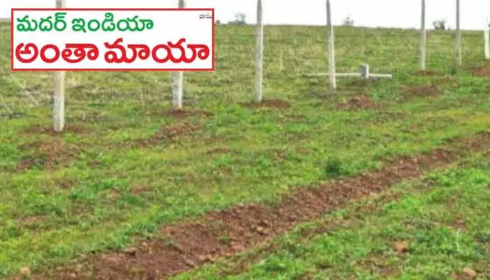 మదర్ ఇండియా’ ఫామ్ ల్యాండ్ దందా మదర్ ఇండియా’ ఫామ్ ల్యాండ్ దందా