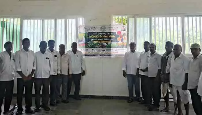ఆరుతడి పంటలే మేలు ఆరుతడి పంటలే మేలు