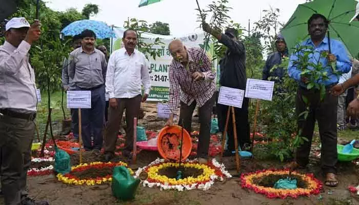 నాటడం కన్నా పరిరక్షణకే ప్రాధాన్యత నాటడం కన్నా పరిరక్షణకే ప్రాధాన్యత