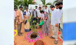 ప్రతి ఒక్కరూ ఒక మొక్క నాటి సంరక్షించాలి ప్రతి ఒక్కరూ ఒక మొక్క నాటి సంరక్షించాలి
