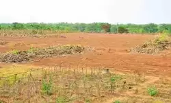 22A నిబంధనలు కఠినతరం.. త్వరలో కొత్త జీవో