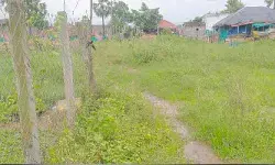 చిన్నారులకు దారి కష్టాలు