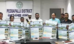 నీటి సంరక్షణ పనులను పెద్ద ఎత్తున చేపట్టాలి: కలెక్టర్ నీటి సంరక్షణ పనులను పెద్ద ఎత్తున చేపట్టాలి: కలెక్టర్