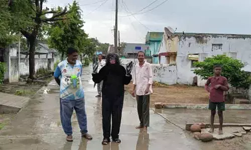 కోతులు పరార్.. సంతోషం వ్యక్తం చేస్తున్న గ్రామస్తులు