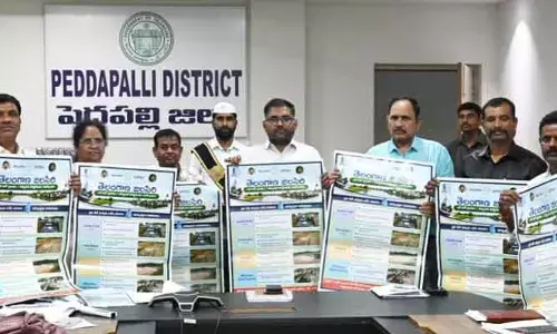 నీటి సంరక్షణ పనులను పెద్ద ఎత్తున చేపట్టాలి: కలెక్టర్