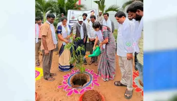 ప్రతి ఒక్కరూ ఒక మొక్క నాటి సంరక్షించాలి ప్రతి ఒక్కరూ ఒక మొక్క నాటి సంరక్షించాలి