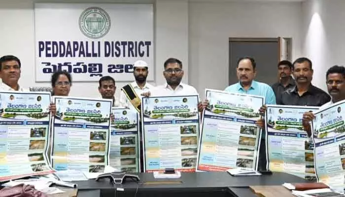 నీటి సంరక్షణ పనులను పెద్ద ఎత్తున చేపట్టాలి: కలెక్టర్ నీటి సంరక్షణ పనులను పెద్ద ఎత్తున చేపట్టాలి: కలెక్టర్