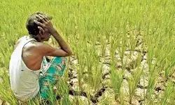 సాగని సాగు... ఎల్‌ నినో  ప్రభావంతో వర్షాల ఆలస్యం