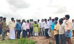 అక్రమ చేపల చెరువు నిర్మాణంపై అధికారుల పరిశీలన అక్రమ చేపల చెరువు నిర్మాణంపై అధికారుల పరిశీలన