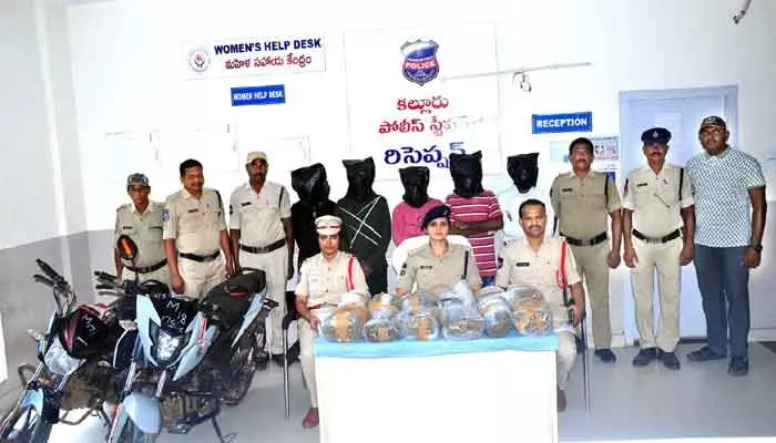 కల్లూరులో రూ.11.55 లక్షల గంజాయి స్వాధీనం కల్లూరులో రూ.11.55 లక్షల గంజాయి స్వాధీనం