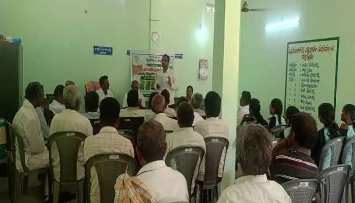 ఎల్నినో ప్రభావం.. వరి, మిరపకు బదులుగా ప్రత్యామ్నాయ పంటలు సాగు చేయండి ఎల్నినో ప్రభావం.. వరి, మిరపకు బదులుగా ప్రత్యామ్నాయ పంటలు సాగు చేయండి