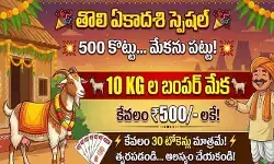 తొలి ఏకాదశి స్పెషల్.. రూ.500 కొట్టు మేకను పట్టు! తొలి ఏకాదశి స్పెషల్.. రూ.500 కొట్టు మేకను పట్టు!