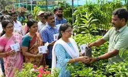 ఆధార్ జిరాక్స్ తో వస్తే..ఐదు మొక్కలు ఉచితం