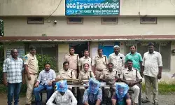 వేటగాళ్లు అమర్చిన విద్యుత్ తీగలు తగిలి ఎలుగుబంటి మృతి.. ముగ్గురు అరెస్ట్..