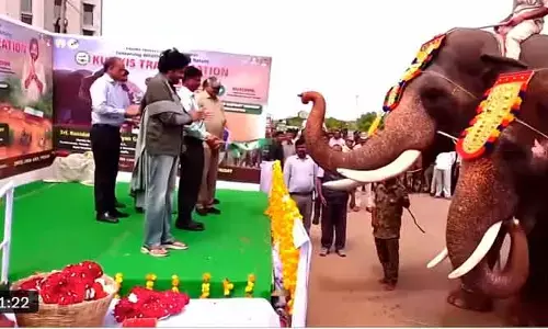 పార్వతీపురం మన్యానికి ‘కుంకీ’ ఏనుగులను పంపిన డిప్యూటీ సీఎం పవన్ కళ్యాణ్