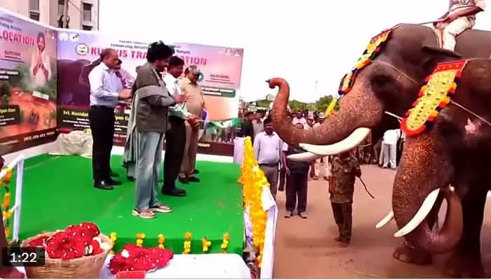పార్వతీపురం మన్యానికి ‘కుంకీ’ ఏనుగులను పంపిన డిప్యూటీ సీఎం పవన్ కళ్యాణ్ పార్వతీపురం మన్యానికి ‘కుంకీ’ ఏనుగులను పంపిన డిప్యూటీ సీఎం పవన్ కళ్యాణ్