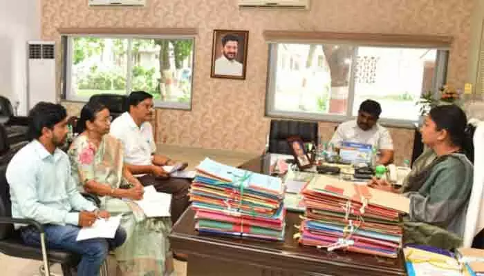 ఆయిల్ ఫామ్ సాగును మరింత విస్తరించాలి ఆయిల్ ఫామ్ సాగును మరింత విస్తరించాలి