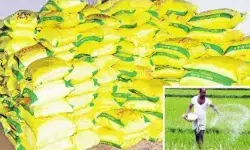 రాష్ట్రంలో సగం మండలాల్లో లోటు వర్షపాతం.. ఎరువులపై ఎఫెక్ట్