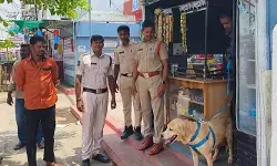 దేవరకొండలో పోలీసుల ఆకస్మిక తనిఖీలు